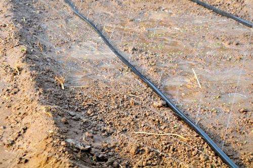 使用微喷带要注意什么?