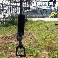 <img src=upfile/images/2018/05/29/small3_15275878247658644.jpg height=300>